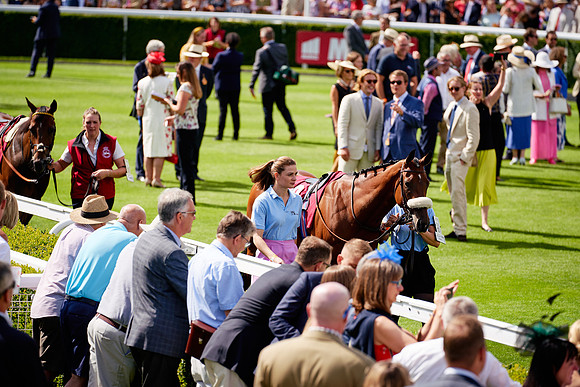 QGF2019_DominicJames-06190