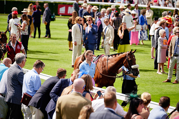 QGF2019_DominicJames-06191