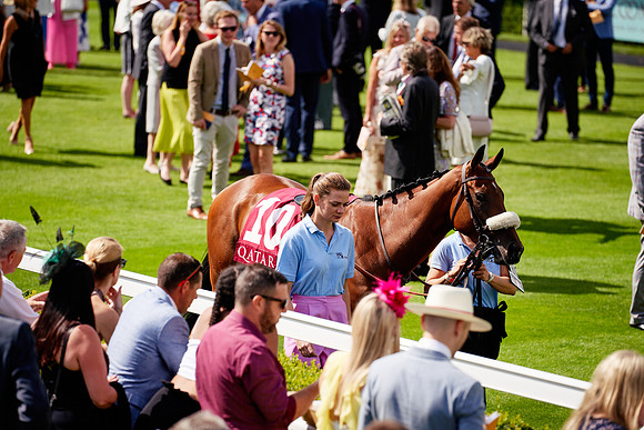 QGF2019_DominicJames-06193