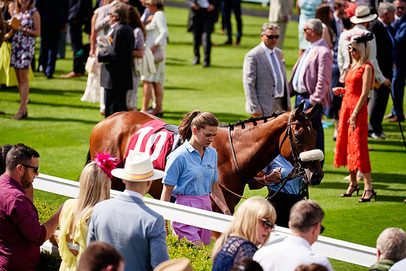 QGF2019_DominicJames-06194