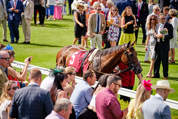 QGF2019_DominicJames-06195