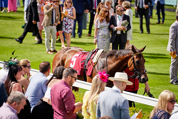QGF2019_DominicJames-06196