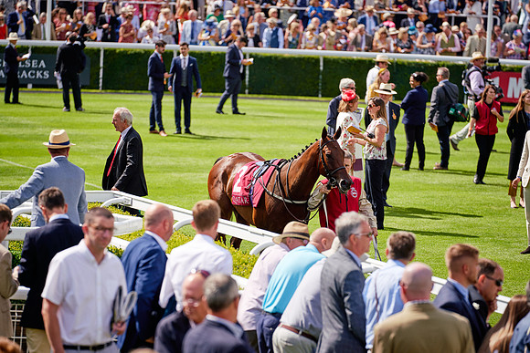 QGF2019_DominicJames-06199
