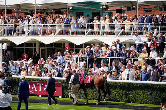 QGF2019_DominicJames-06234