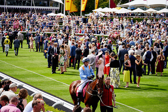 QGF2019_DominicJames-06252