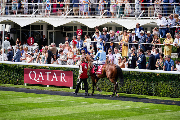 QGF2019_DominicJames-06258