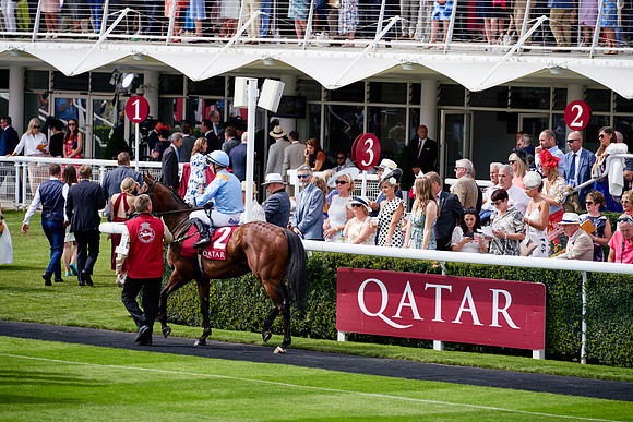 QGF2019_DominicJames-06268