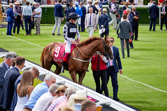 QGF2019_DominicJames-06270