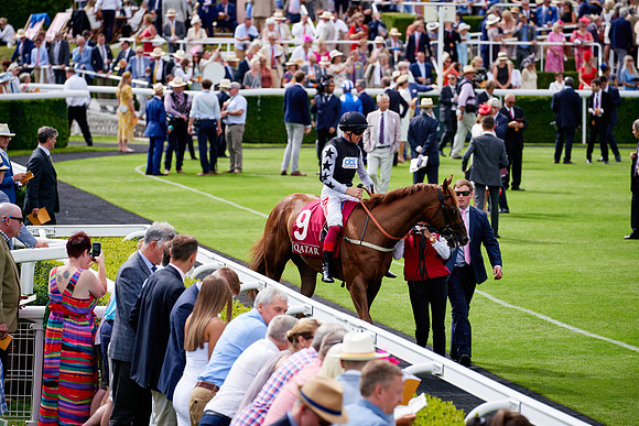 QGF2019_DominicJames-06271