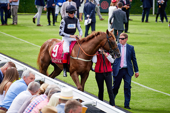 QGF2019_DominicJames-06272