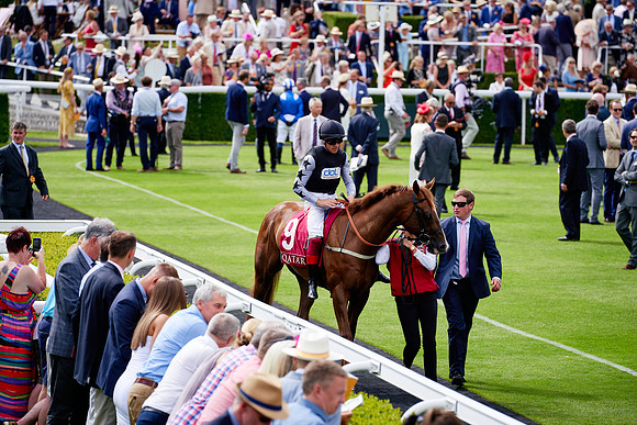 QGF2019_DominicJames-06273