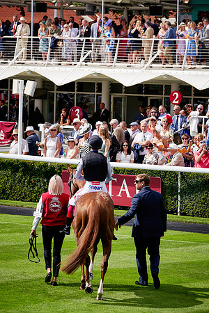 QGF2019_DominicJames-06281
