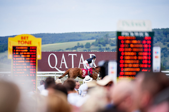 QGF2019_DominicJames-06302