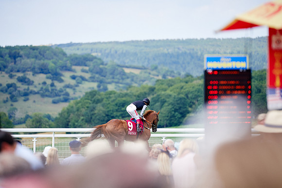 QGF2019_DominicJames-06304