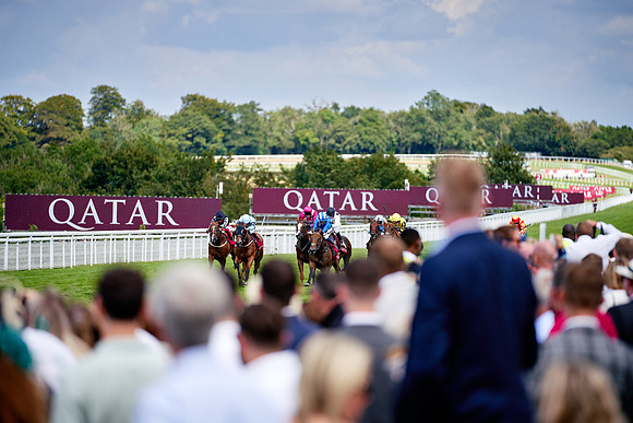 QGF2019_DominicJames-06309