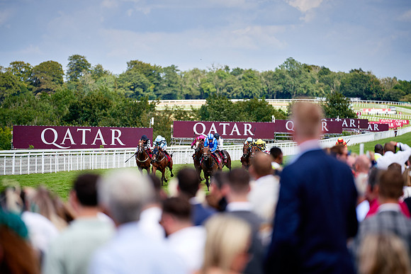 QGF2019_DominicJames-06310