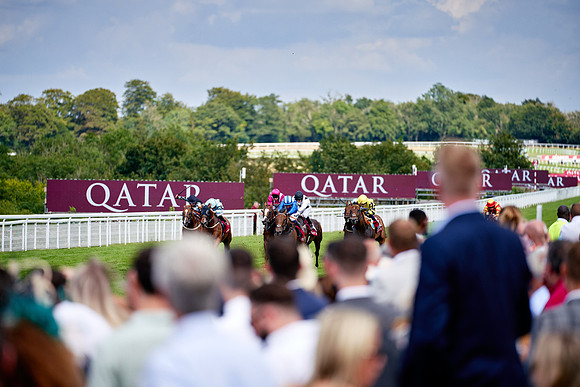 QGF2019_DominicJames-06313
