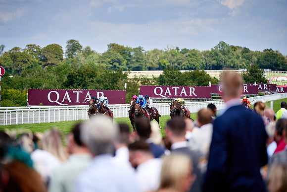 QGF2019_DominicJames-06314