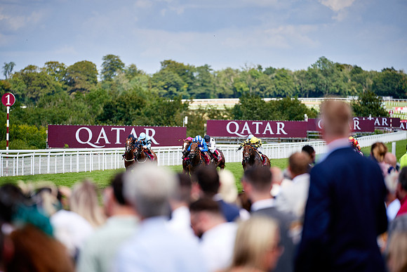 QGF2019_DominicJames-06315