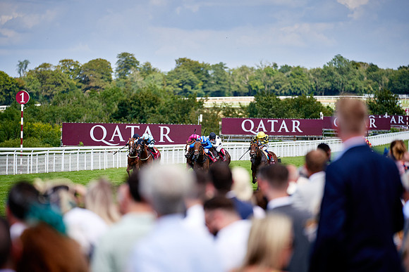 QGF2019_DominicJames-06316