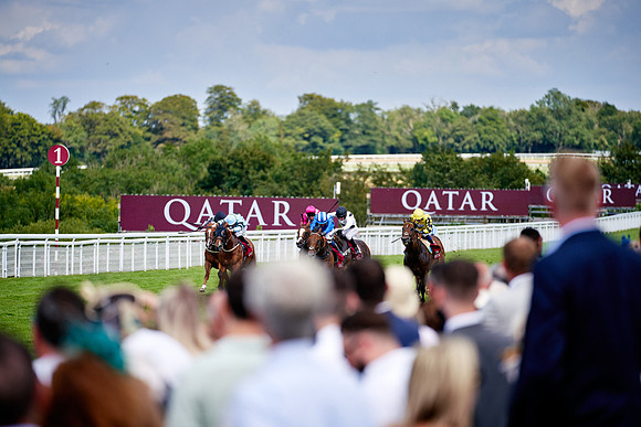 QGF2019_DominicJames-06317