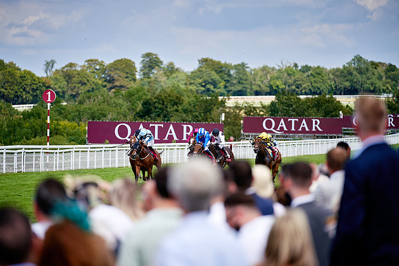 QGF2019_DominicJames-06318
