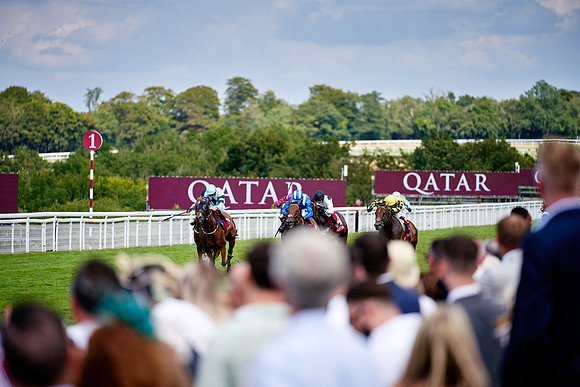 QGF2019_DominicJames-06319
