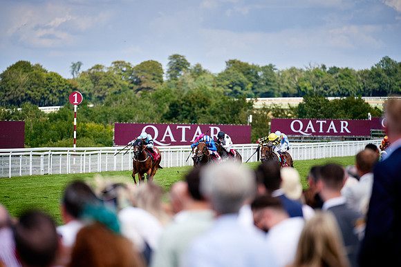 QGF2019_DominicJames-06320
