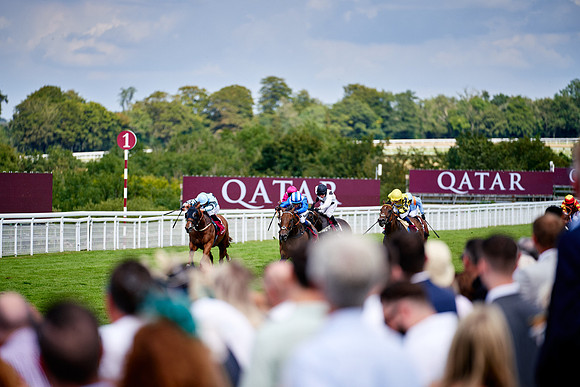 QGF2019_DominicJames-06321
