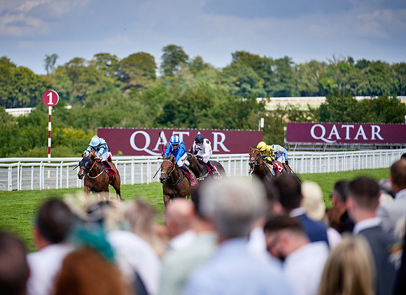 QGF2019_DominicJames-06322