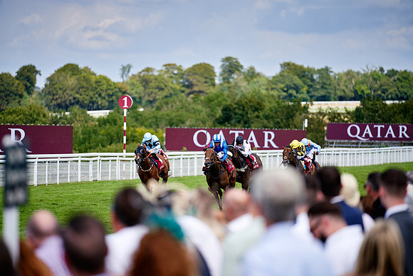 QGF2019_DominicJames-06323