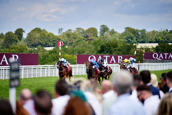 QGF2019_DominicJames-06324