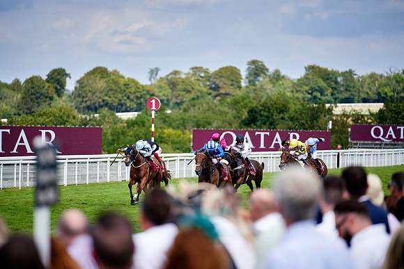 QGF2019_DominicJames-06325
