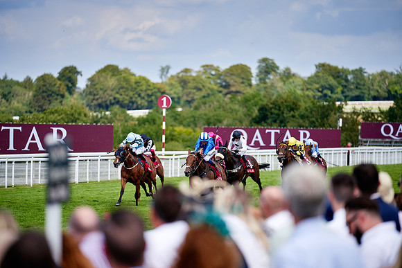 QGF2019_DominicJames-06326