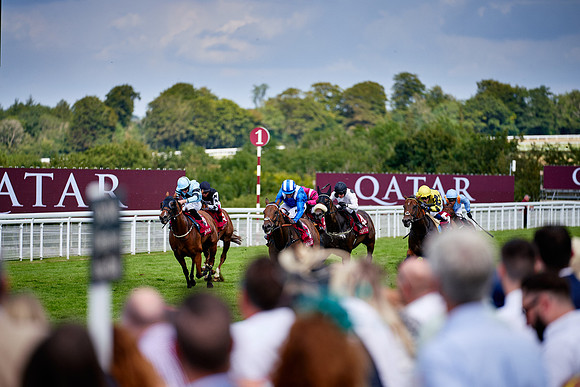 QGF2019_DominicJames-06327