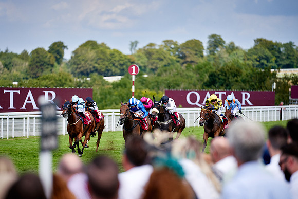 QGF2019_DominicJames-06328