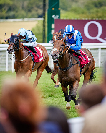 QGF2019_DominicJames-06336 1