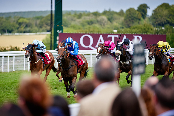 QGF2019_DominicJames-06336