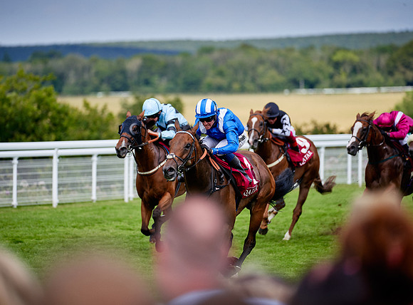 QGF2019_DominicJames-06340