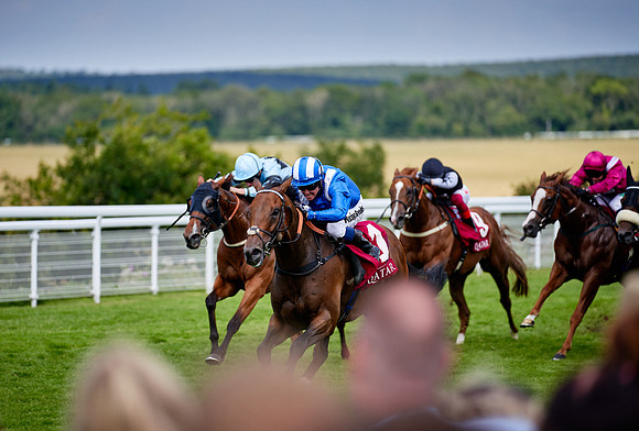 QGF2019_DominicJames-06341