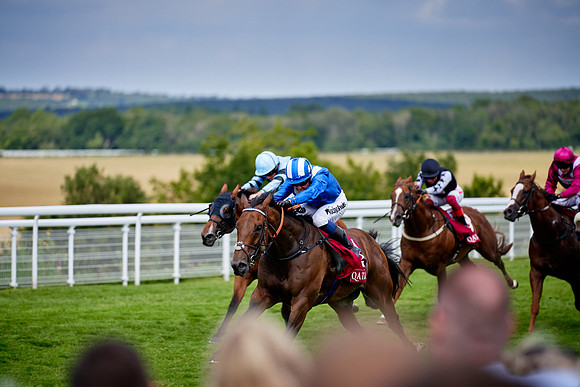 QGF2019_DominicJames-06342