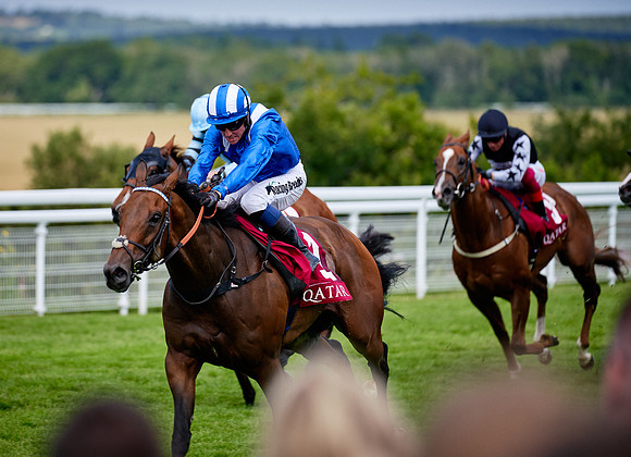 QGF2019_DominicJames-06343