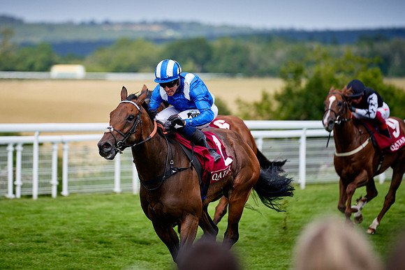 QGF2019_DominicJames-06344