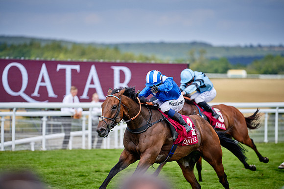 QGF2019_DominicJames-06346