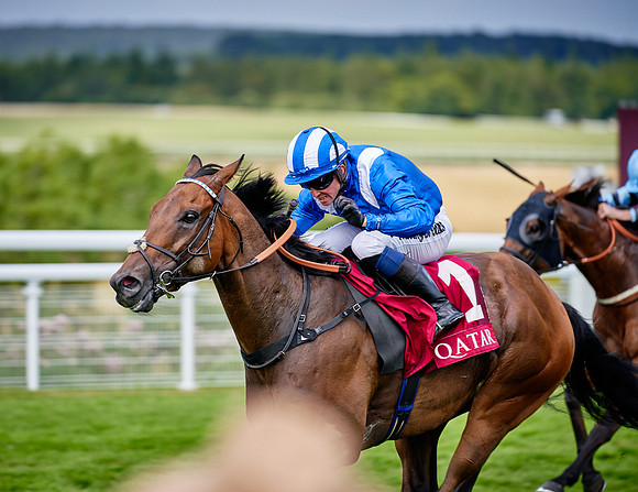 QGF2019_DominicJames-06349