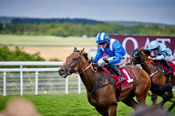 QGF2019_DominicJames-06348