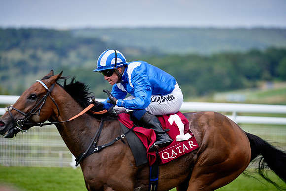QGF2019_DominicJames-06353