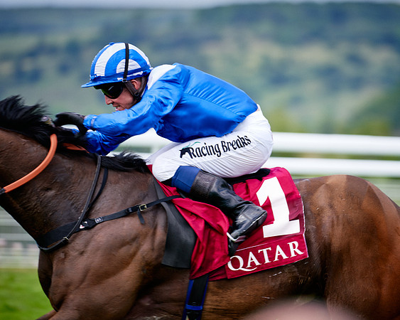 QGF2019_DominicJames-06354