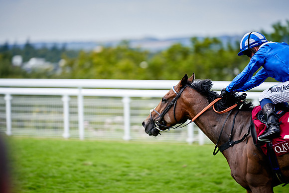 QGF2019_DominicJames-06360