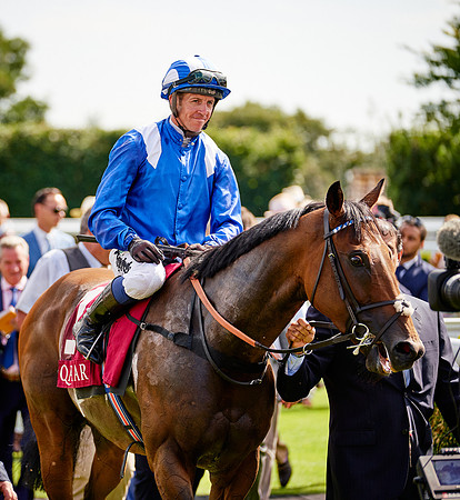 QGF2019_DominicJames-06392